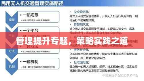 管理提升专题,策略实践之道