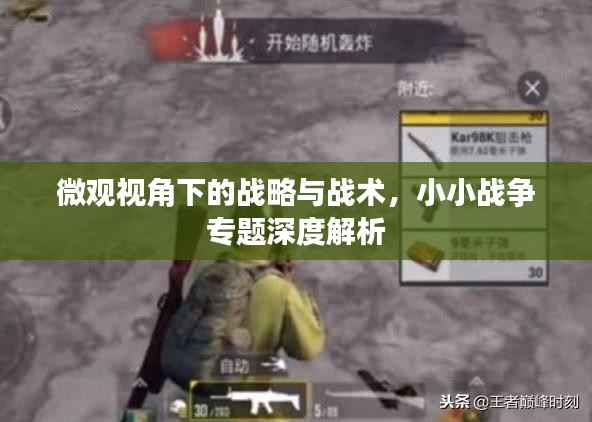 微观视角下的战略与战术,小小战争专题深度解析