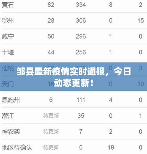 邹县最新疫情实时通报,今日动态更新!