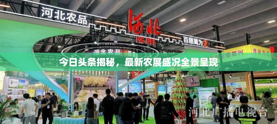 今日头条揭秘,最新农展盛况全景呈现