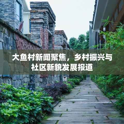 大鱼村新闻聚焦,乡村振兴与社区新貌发展报道