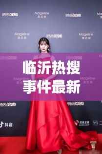 临沂热搜事件最新动态更新，揭秘今日热点内幕
