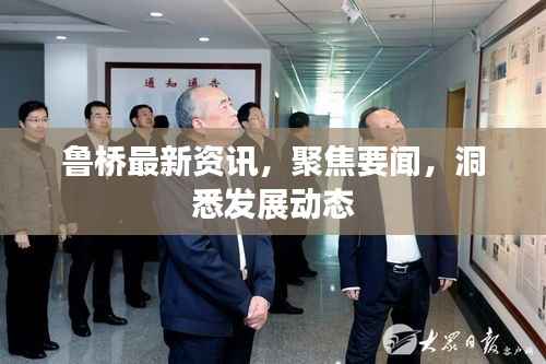 鲁桥最新资讯,聚焦要闻,洞悉发展动态