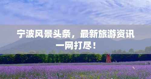 宁波风景头条,最新旅游资讯一网打尽!