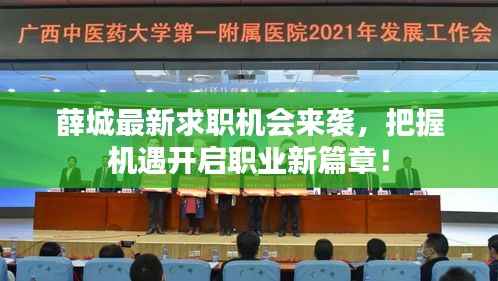 薛城最新求职机会来袭，把握机遇开启职业新篇章！