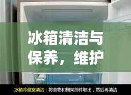 冰箱清洁与保养,维护冷藏健康,延长使用寿命的关键步骤