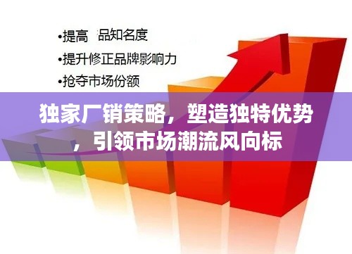独家厂销策略,塑造独特优势,引领市场潮流风向标