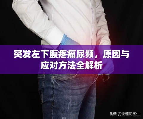 突发左下腹疼痛尿频,原因与应对方法全解析
