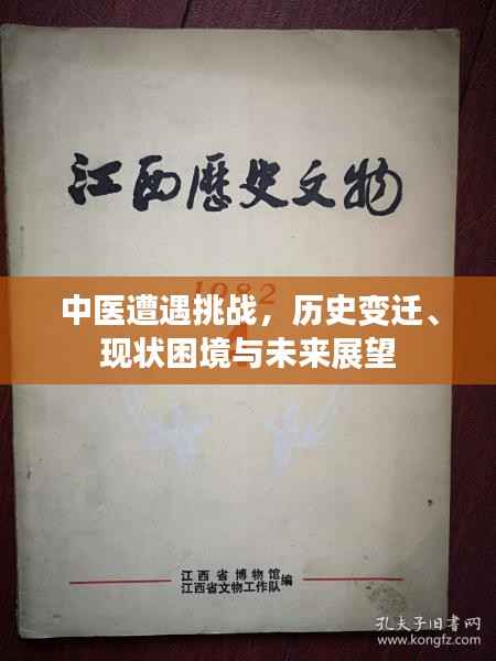 中医遭遇挑战，历史变迁、现状困境与未来展望