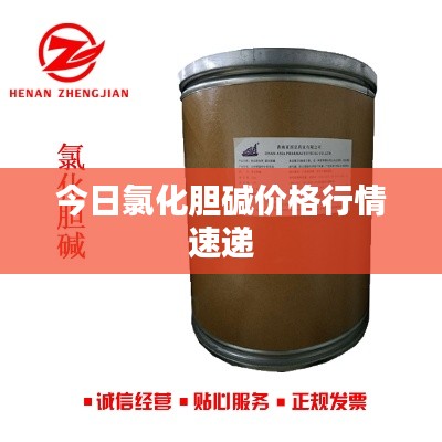 今日氯化胆碱价格行情速递