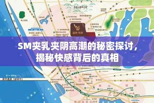 SM夹乳夹阴高潮的秘密探讨,揭秘快感背后的真相