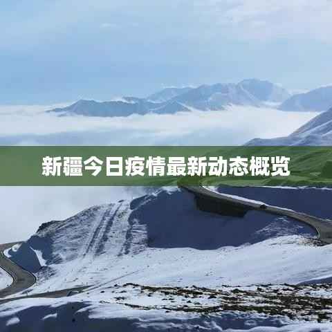 新疆今日疫情最新动态概览