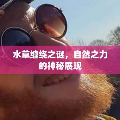 水草缠绕之谜,自然之力的神秘展现