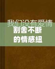割舍不断的情感纽带，深度解读背后的故事
