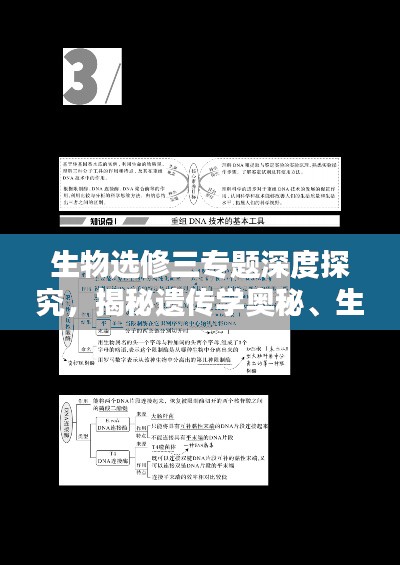 生物选修三专题深度探究,揭秘遗传学奥秘、生物技术与应用领域探索