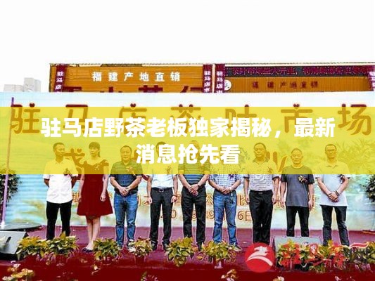 驻马店野茶老板独家揭秘,最新消息抢先看