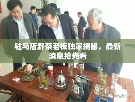 驻马店野茶老板独家揭秘,最新消息抢先看