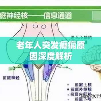 老年人突发癫痫原因深度解析