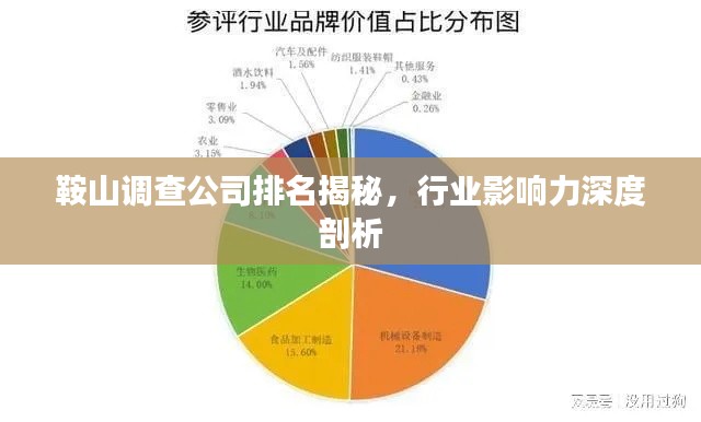 鞍山调查公司排名揭秘,行业影响力深度剖析