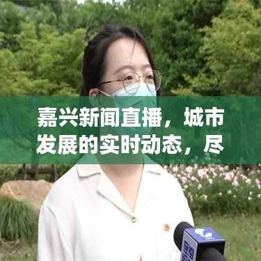 嘉兴新闻直播，城市发展的实时动态，尽在头条直播窗口