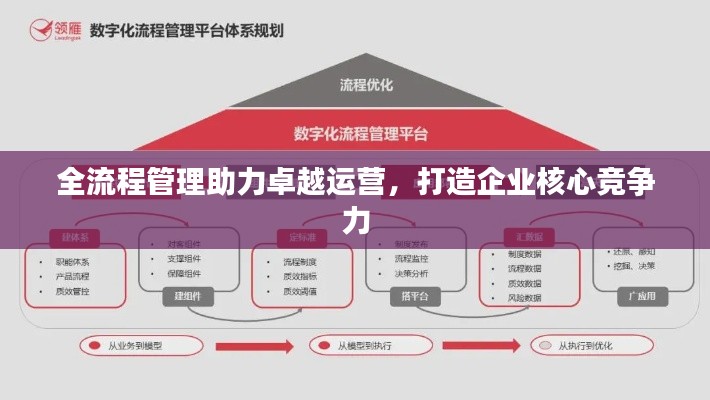 全流程管理助力卓越运营,打造企业核心竞争力