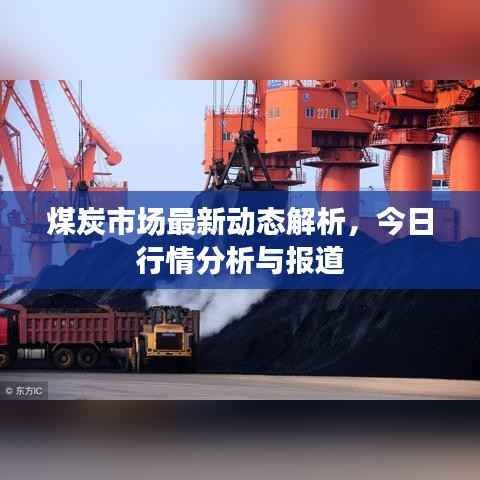 煤炭市场最新动态解析,今日行情分析与报道