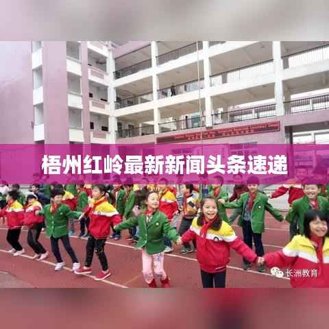 梧州红岭最新新闻头条速递