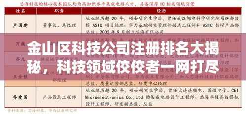 金山区科技公司注册排名大揭秘，科技领域佼佼者一网打尽！