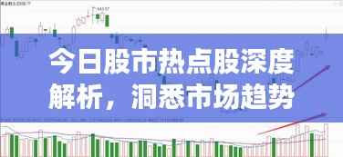 今日股市热点股深度解析,洞悉市场趋势,把握投资机会!