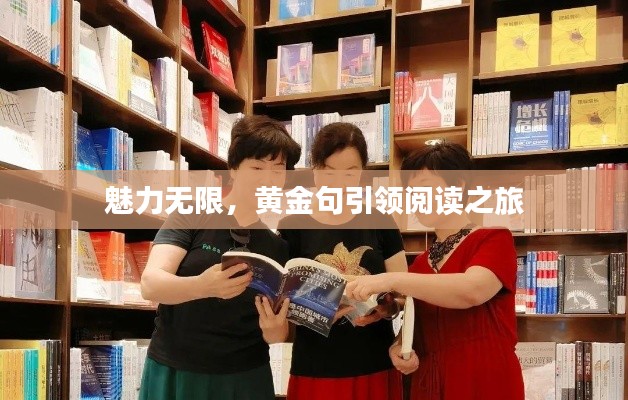 魅力无限，黄金句引领阅读之旅