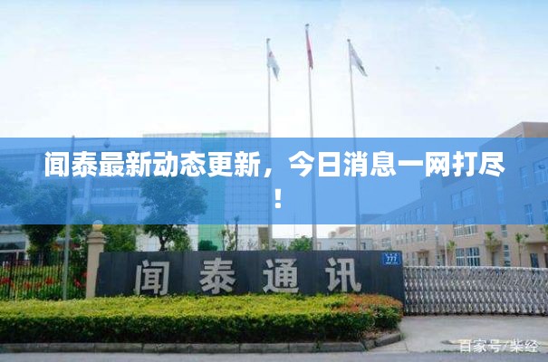 闻泰最新动态更新,今日消息一网打尽!