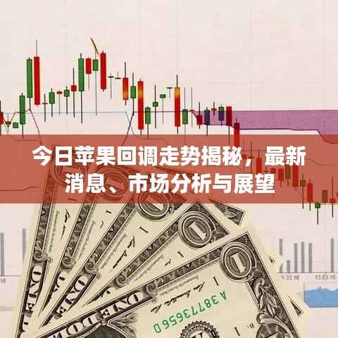 gangqiemuzhang 第4页